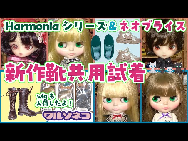 the bodines PLAYED ボディーンズ　エコー＆バニーマン　ネオアコ the bodines PLAYED ボディーンズ エコー＆バニーマン ネオアコ