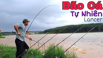 Câu Cá Tự Nhiên gặp bầy cá KHỦNG. Chia sẻ bài mồi cách câu và thời điểm không phải ai cũng biết !