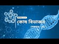 Cell Division (কোষ বিভাজন) Lecture - 02 For HSC || Biology 1st Paper