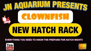 Clownfish Hatch Rack And Hatch Preparations, Everything You Need To Know