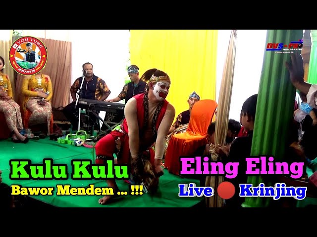 Kulu Kulu // Eling Eling || Bawor Mendem ... !!! || New Arista Music || Live 🔴 Petir - Krinjing class=
