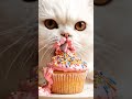 cat eating ice-cream wow #walkinspiritoftheholyspirit #cat
