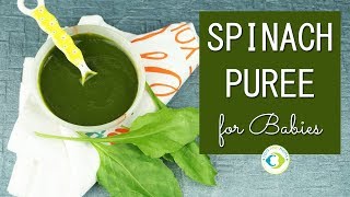 Healthy greens for your baby when you plan to introduce basic solids.
spinach rich in vitamins and antioxidants helps the overall
development of baby. i...