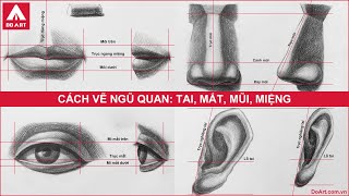 Xem hơn 84 ảnh về hình vẽ cái tai  NEC