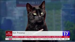 W Następnym Woronicza 17 Gość Specjalny