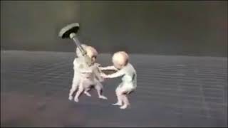 3 Bebes Peleando