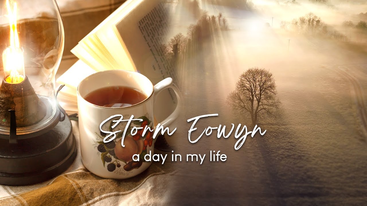 Storm Éowyn Ireland | Living Off-Grid in the Irish Countryside | My ...