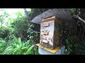 日本蜜蜂の重箱型巣箱の継箱