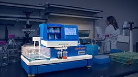 BlotCycler-mini in action