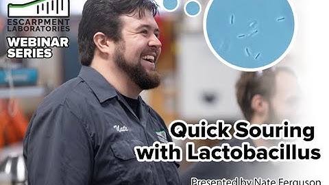 How to Make a Kettle Sour Beer