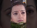 Maya | Shorts | Ep-136 | মায়া | Bengali New Serial | Tarang Bangla