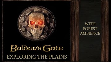 Baldurs Gate | Exploring the Plains | Forest Ambience