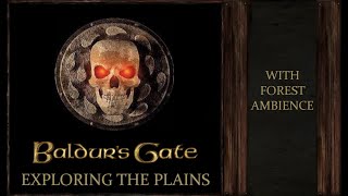 Baldurs Gate | Exploring the Plains | Forest Ambience