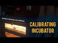 CALIBRATING INCUBATOR Vlog # 31 Frankie Sicsic | Panis Brother Game Farm