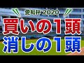 愛知杯2020【買いの1頭/消しの1頭】公開!