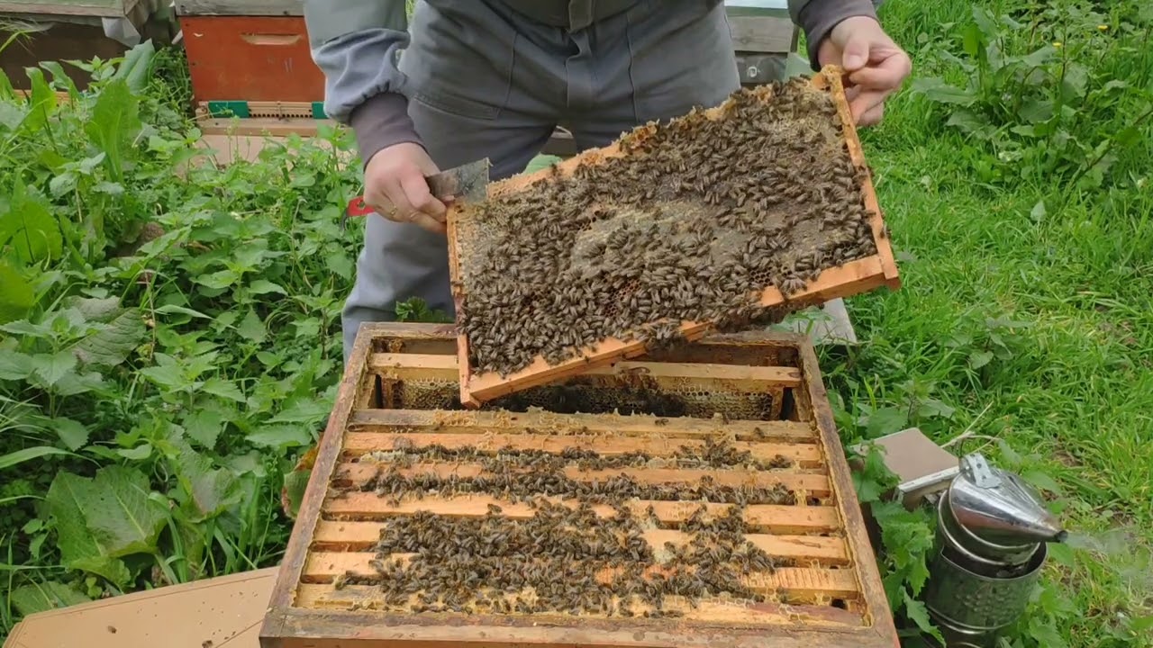 Katları vermeden önce son kontroller -1