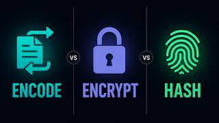 Encoding vs Encryption vs Hashing Explained for Beginners