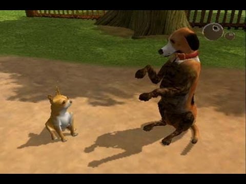 CGR Undertow - DOGZ 2 review for Nintendo DS 