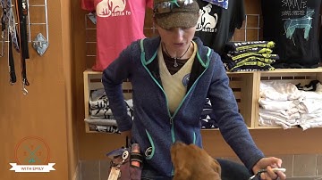 Training Tip Tuesday - Clicker Training - Episode 2