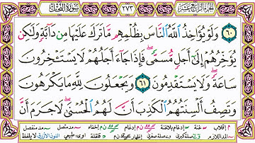 القرآن الكريم مقسم صفحات الشيخ حاتم فريد سورة النحل صفحة 273 مكتوبة مصحف التجويد الملون 720p