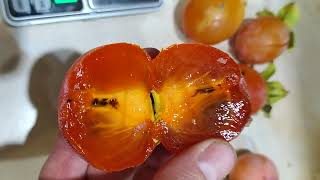 :  ,   ,     ""   