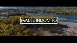 Maule Indómito / Teaser