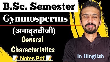 Gymnosperm General Characteristics || Gymnosperms || Bsc Semester || By Dadhich Sir