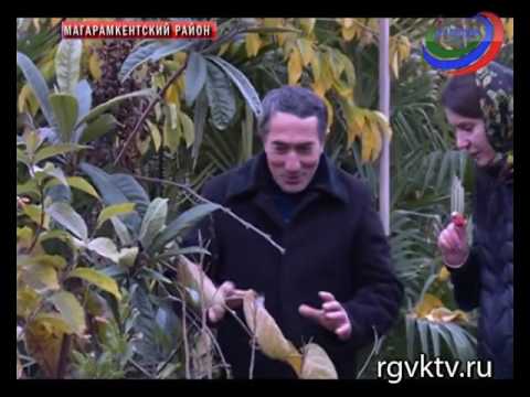 Проститутки Екатеринбурга и индивидуалки