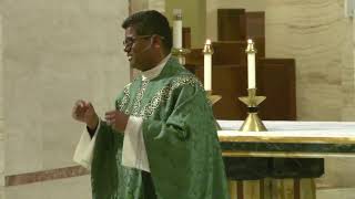 XI Domingo Ordinario | Catedral de Santa Maria - Miami, FL.