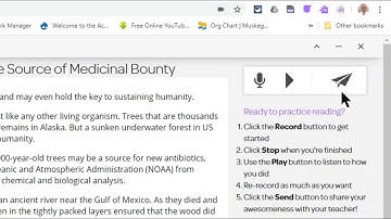 The Practice Reading Aloud Tool in Read and Write for Google Chrome