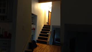 Daryl - Caught in the Act Net Worth