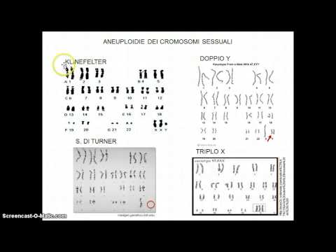 Video: Aneuploidia: Sümptomid, Diagnoos, Ravi, Tüübid, Etapid