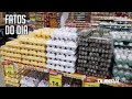 Mercado de ovos se diversifica em Belém, mas preço ainda pesa na escolha do consumidor