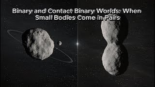 Famous Binary and Contact Binary Worlds: When Small Bodies Come in Pairs Wealth