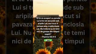 Dumnezeu te acopera cu credinciosia Lui #crestinism #biblia #verset