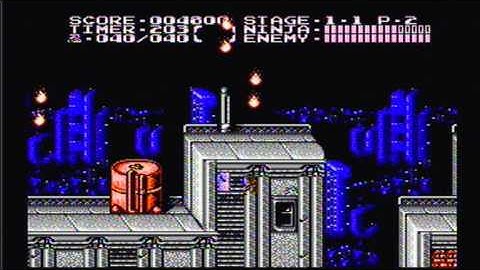 Game Genie Goofiness - Ninja Gaiden II - PEEPOT