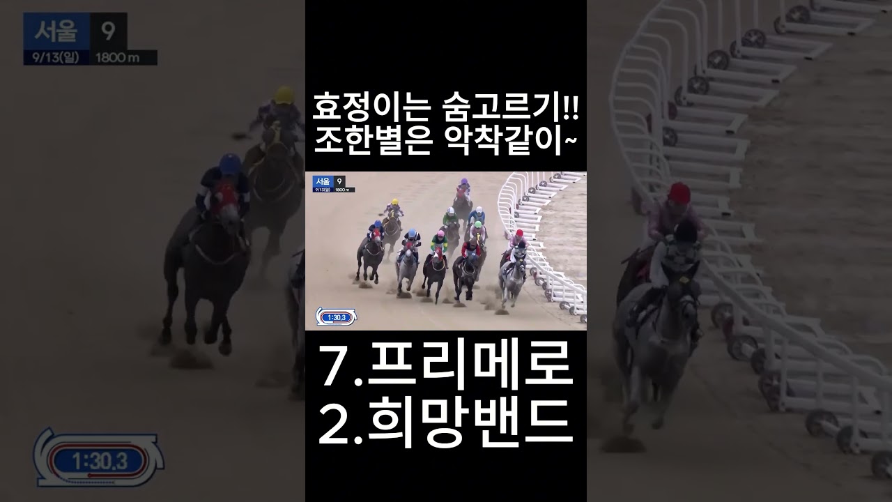 효정이는 숨고르기  조한별  악착같이   #경마  #경마예상  #경마방송  #경마예상방송  #서울경마  #금요경마  #토요경마  #일요경마 #경마장