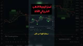 استراتيجية تداول الذهب الفصل المهم يأتي في منتصف الطريق التداول forex