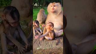 Lovely Mama Bonita Playing With Baby Elleyna & Kendra