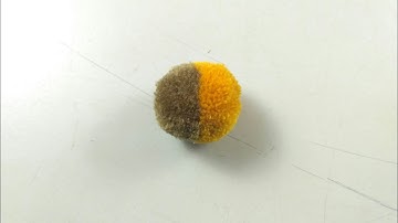 Two Colour Pom Pom | How to make Colourful Pom Pom Tutorial