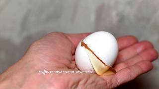 Egg Crack - Sound Effect (SFX)