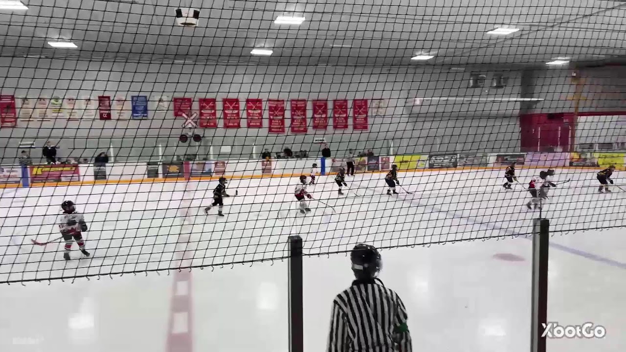 Shelly Zubyck Live Stream U11B Puckhounds Finals