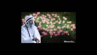 This beautiful osho reel was created by @innercodes #os #osho #oshoquotes #oshohindi