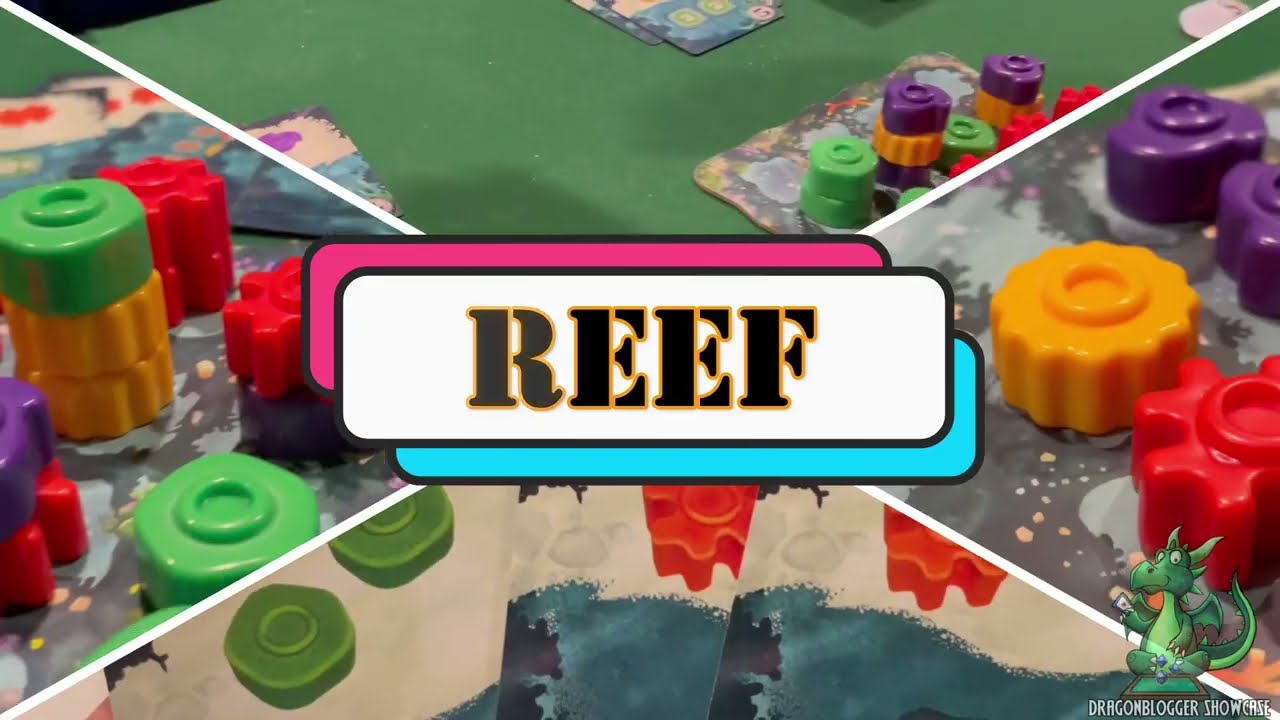 Overview and How to Play Reef Board Game - Shopping Dragons