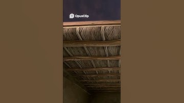 Lost Item  Recovery Strategies and Practical Solutions