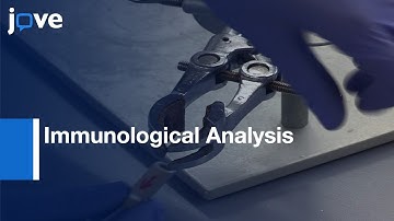 Immunological Analysis of Pollutants in Solid Phase of Water  | Protocol Preview