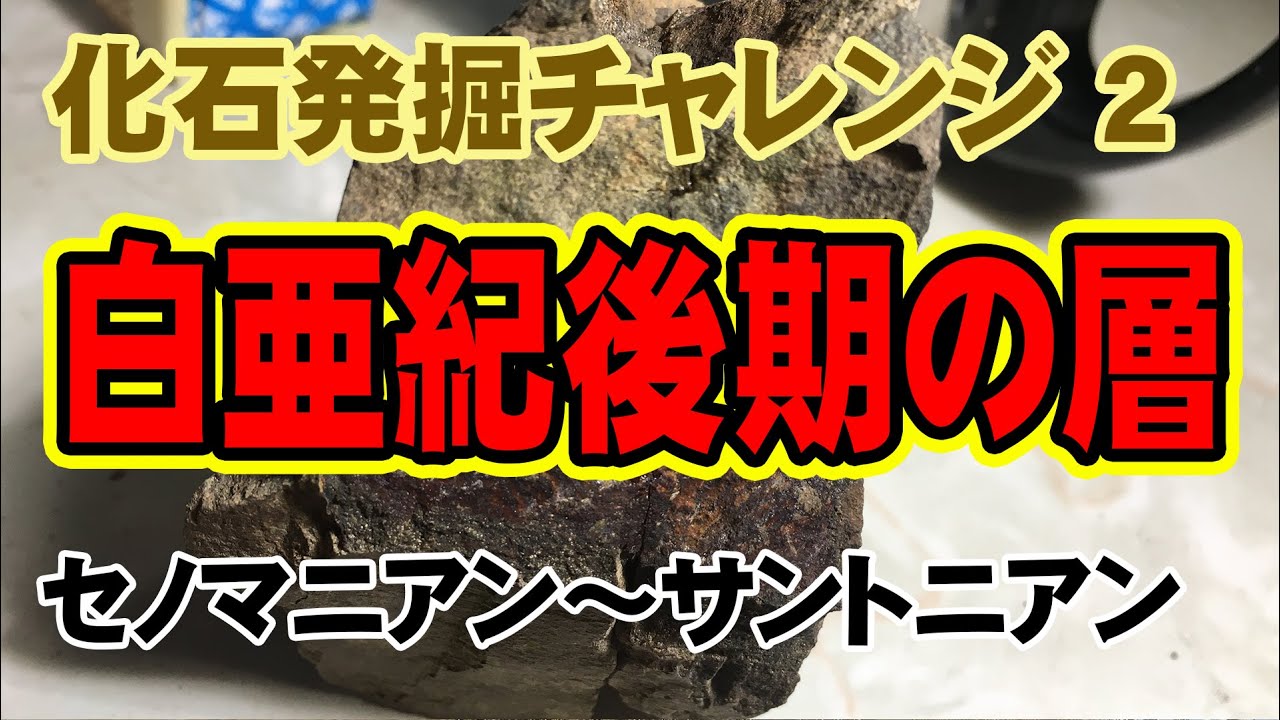 化石発掘チャレンジ2 白亜紀後期の層 - YouTube