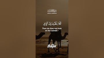Surah Al-Ghashiyah سورة الغاشية | HEART TOUCHING إن شاء الله #ghashiyah #qurantilawat #morocco