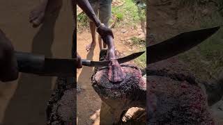 The Village Boy Eel Fish Skinning & Cutting Resimi