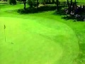 Probably the luckiest golf shot ever